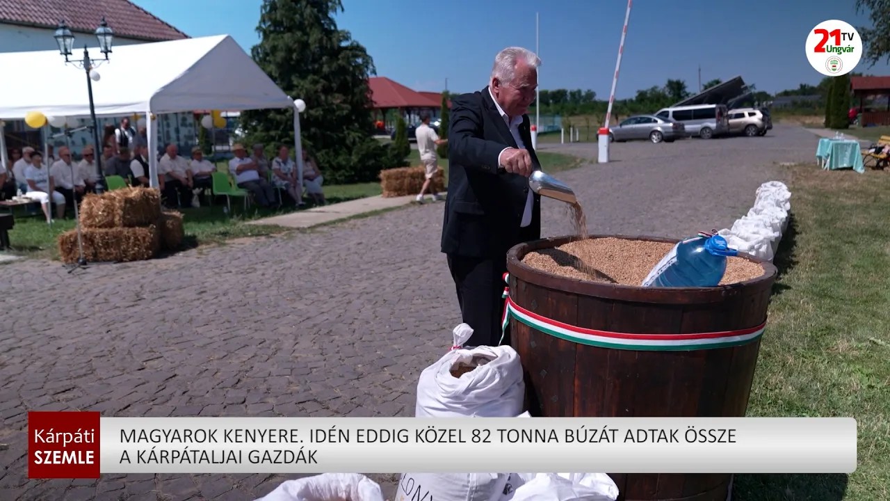 Kárpátaljai gazdák közel 82 tonna búzát gyűjtöttek össze a Magyarok Kenyere programban