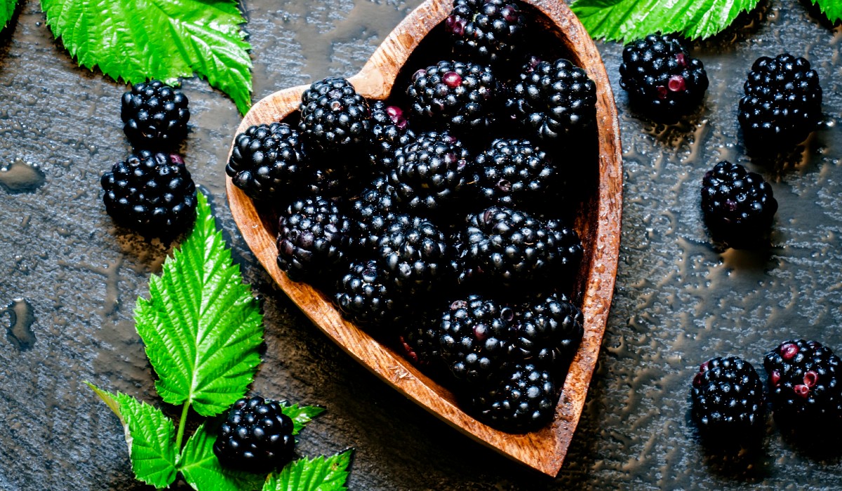 Szeder: Természetes antioxidáns bomba a magyar kertekből